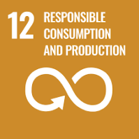 12 SDG UN Sustainable Goals