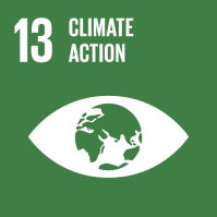 13 SDG UN Sustainable Goals